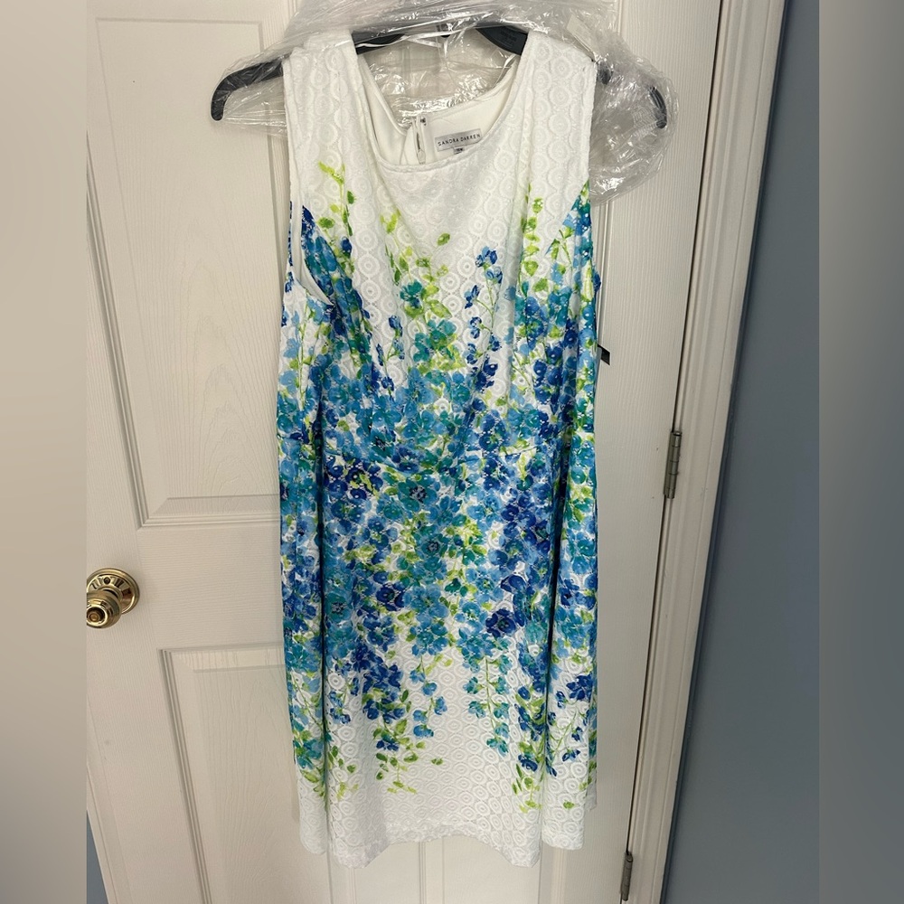 Sandra Darren Dress